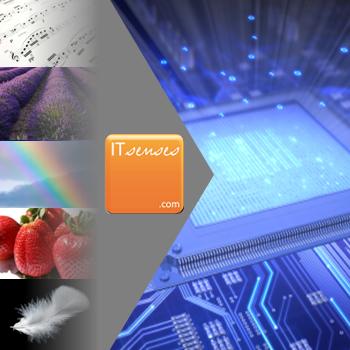 ITsenses offer the 6 senses for IT